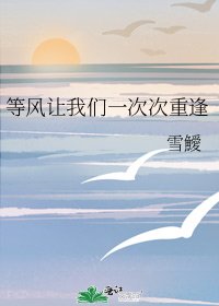 《等風讓我們一次次重逢》
