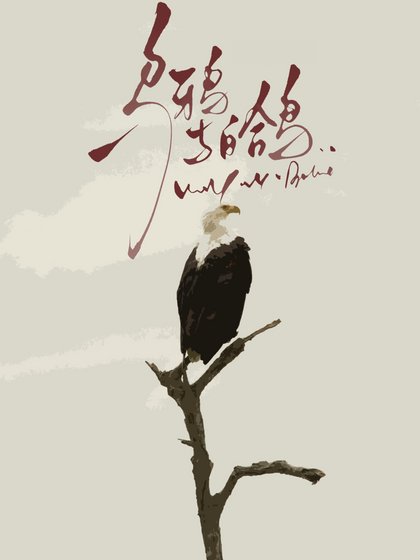 《乌鸦与白鸽》